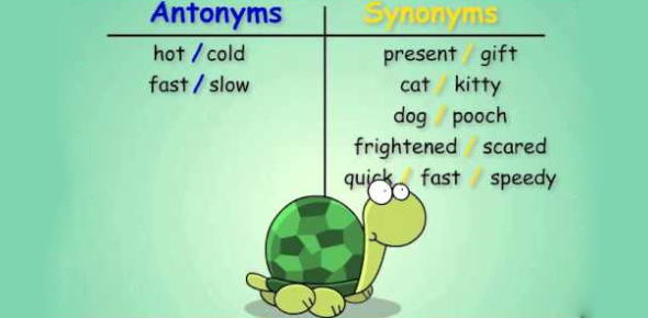 (4) 7th Grade-antonyms And Synonyms - ProProfs Quiz